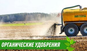 Что такое органические удобрения