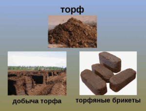 Чёрный торф - секреты правильного применения