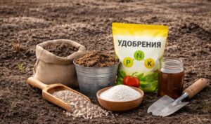 Как правильно использовать НПК удобрения