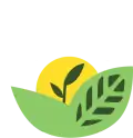 Удобрения по листу Др.Грин