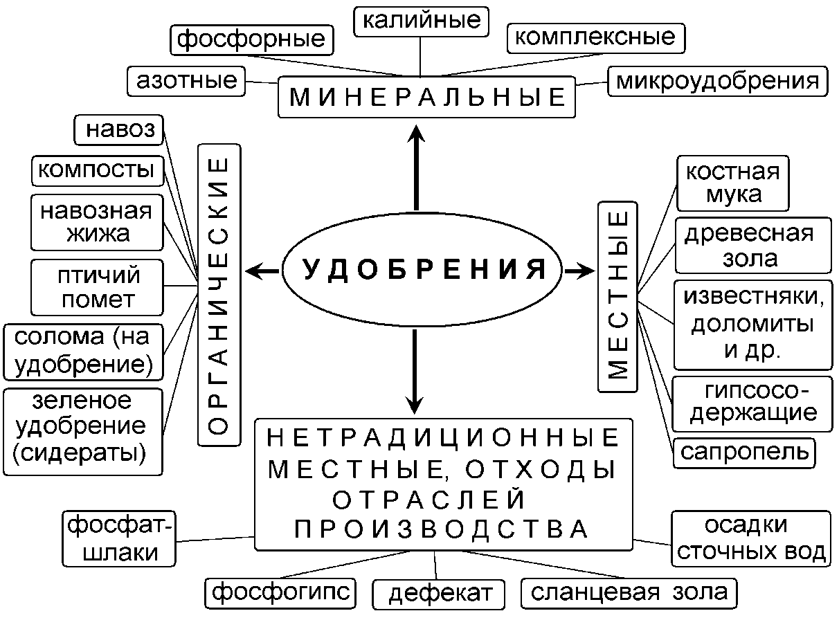 Механизмы действия микроудобрений