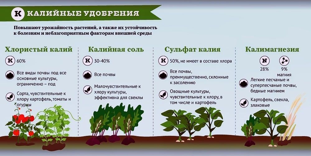 Цинк в органическом земледелии