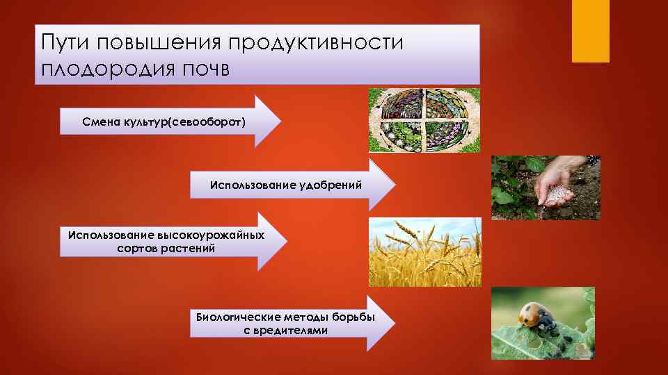 Цинк в органическом земледелии