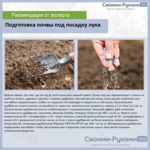 Как правильно добавлять железо в почву для максимальной эффективности? 1 Правила хранения железосодержащих удобрений