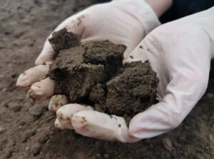Что такое сбалансированные смеси удобрений и как они помогают растениям расти