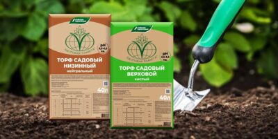 Как правильно применять черный торф Как правильно применять черный торф